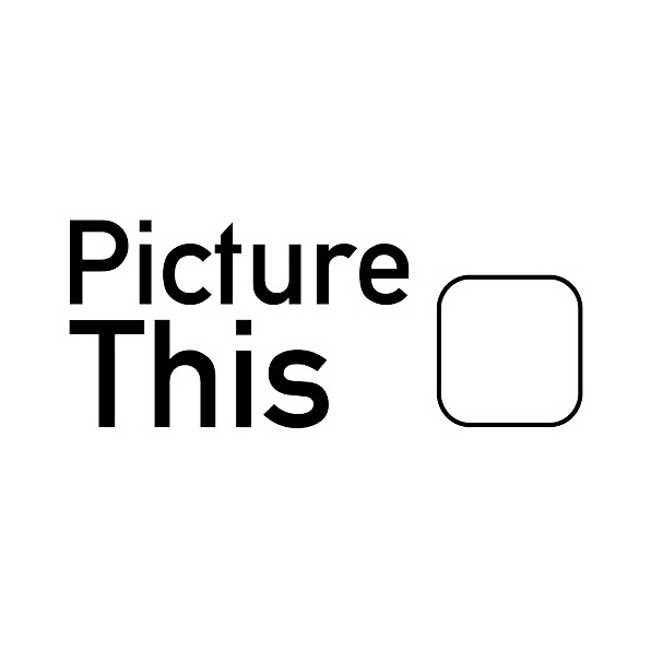 Logo PictureThis